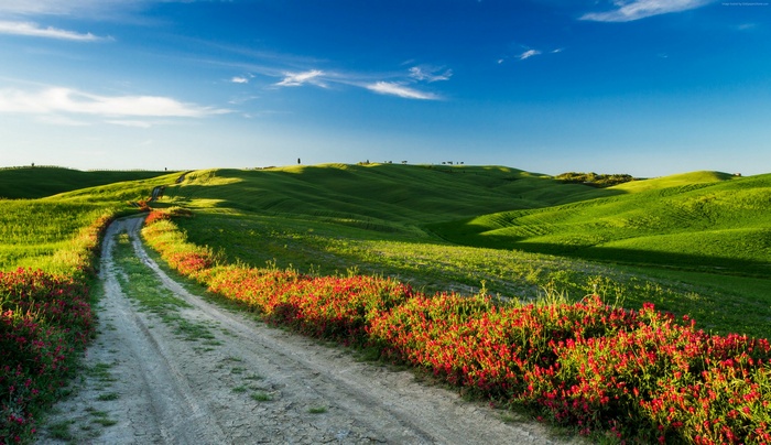 Tuscany 4K Road with Wildflowers and Rolling Hills