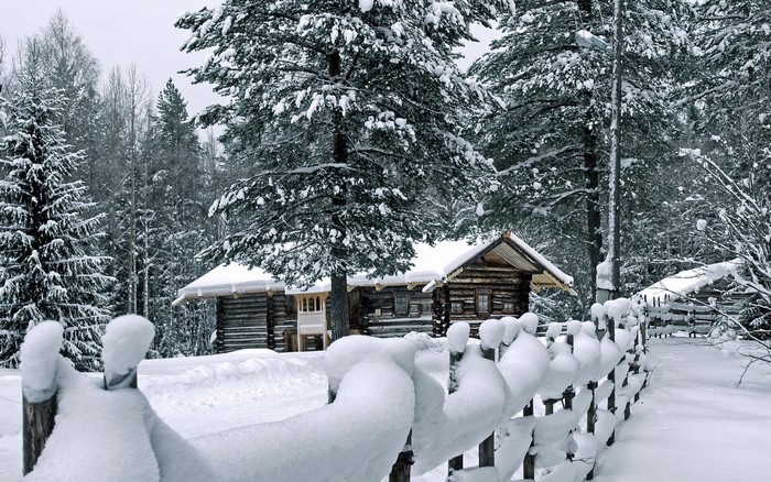 Wooden houses in a snowy forest during winter