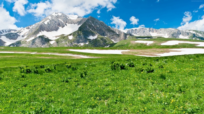 Green meadow with snow-capped mountains under a blue sky