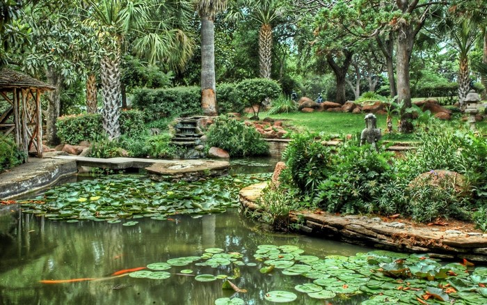 Pond with lily pads, koi fish, and a gazebo in a botanical garden