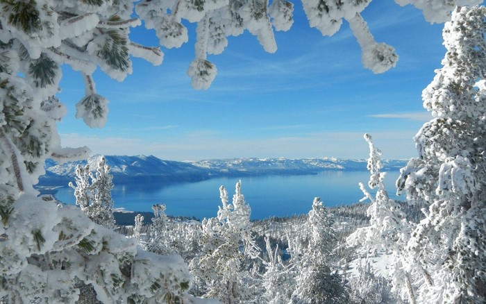 Snow-covered trees overlooking a lake and mountains
