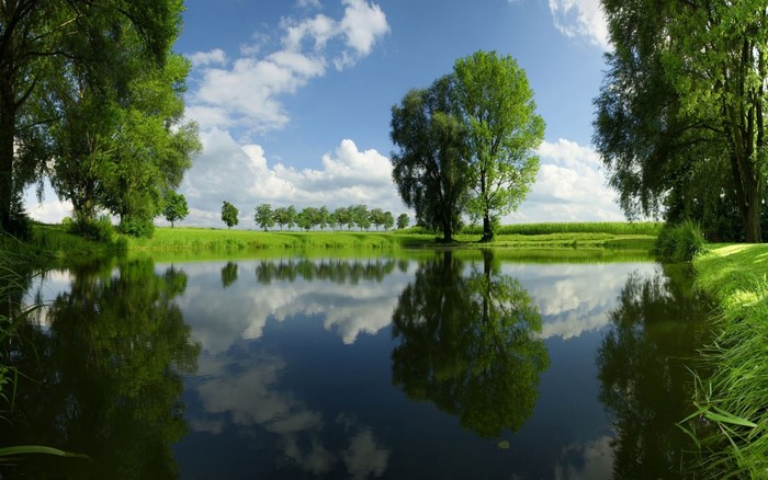 Tranquil Lake with Reflective Trees and Clear Sky