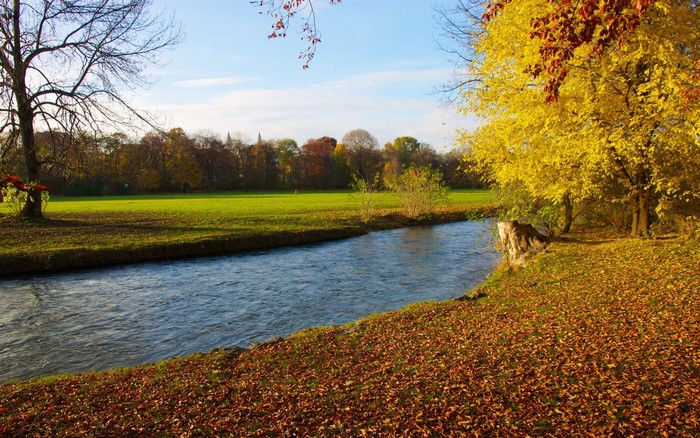 Autumn river landscape with yellow trees and fallen leaves