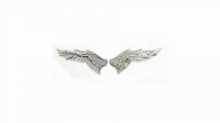 Pair of decorative wings on white background