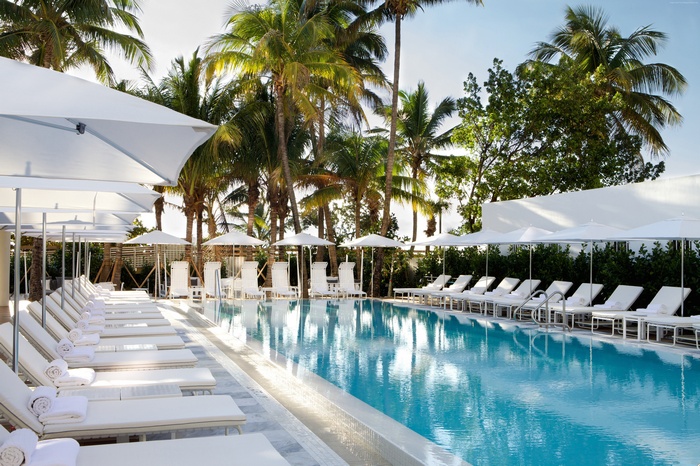 Swimming pool with lounge chairs and palm trees at Metropolitan by COMO, Miami