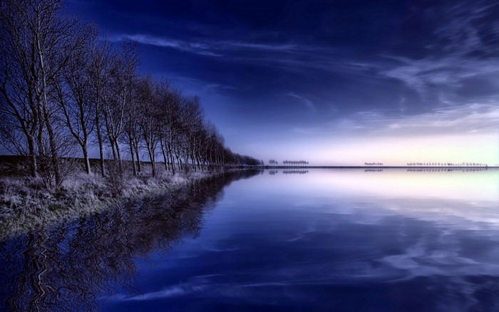 Bare trees reflected in a calm body of water at dusk