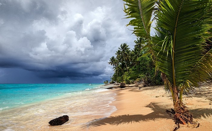 Tropical beach with palm trees and stormy clouds