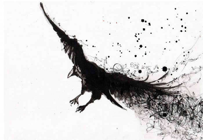 Ink drawing of a black bird in flight