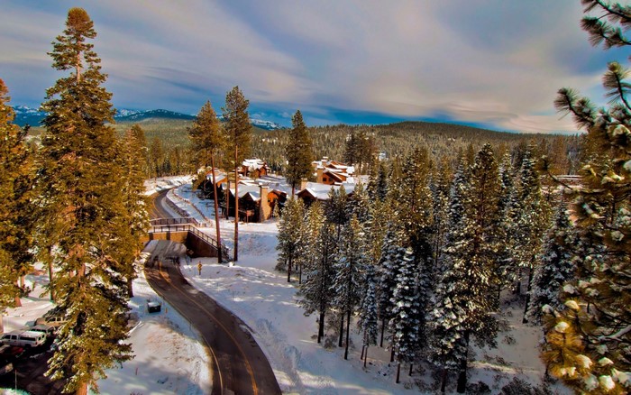 Snowy mountain road with pine trees and lodges