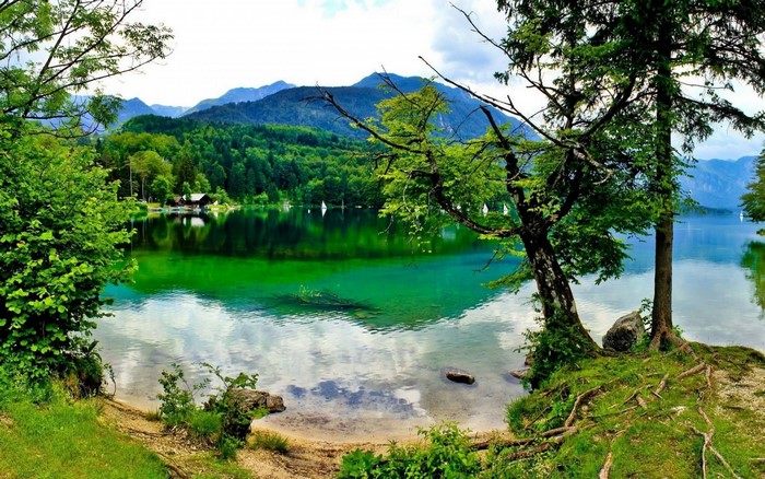 Green lake surrounded by forest and mountains
