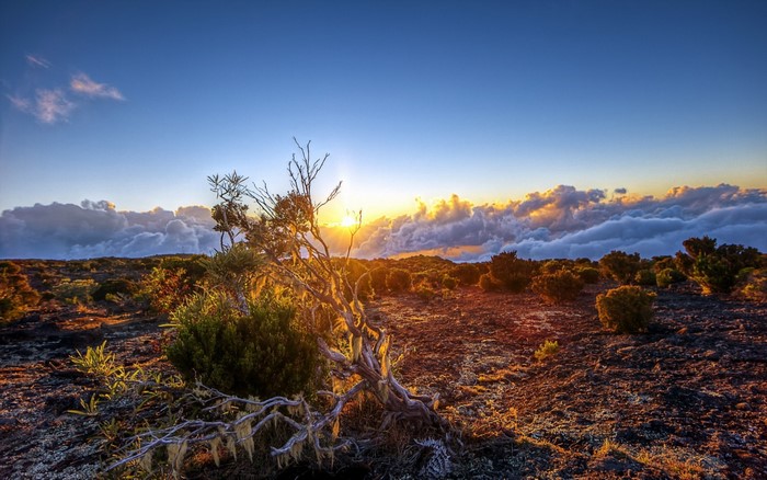 Sunrise over a cloudy mountain plateau with sparse vegetation