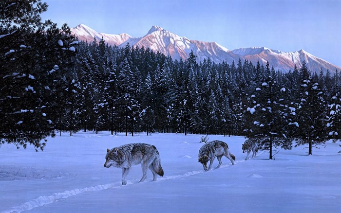 Wolves walking through a snowy forest with mountains
