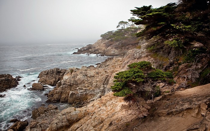 Rocky coastline with cypress trees and ocean mist