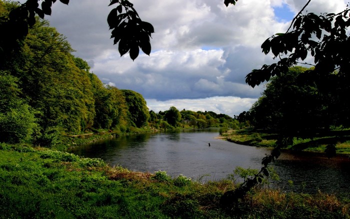 River flowing through a green forest under a cloudy sky