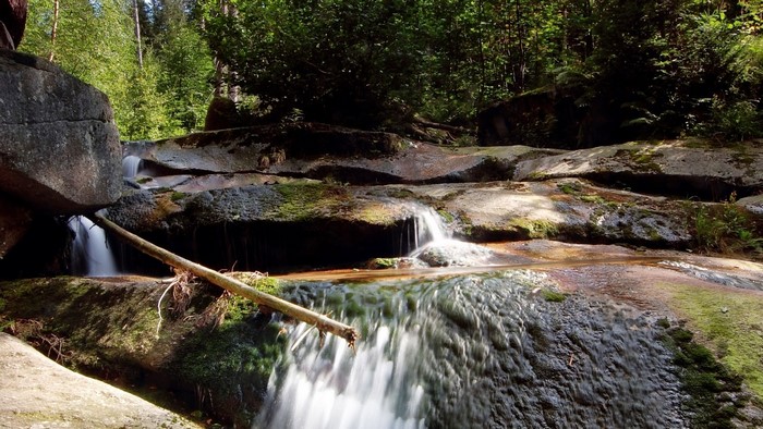 Waterfall cascading over rocks in a forest