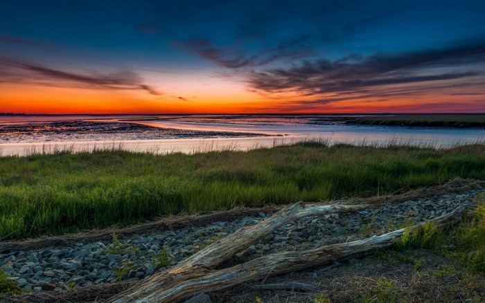 Sunset over a marshy coast with driftwood