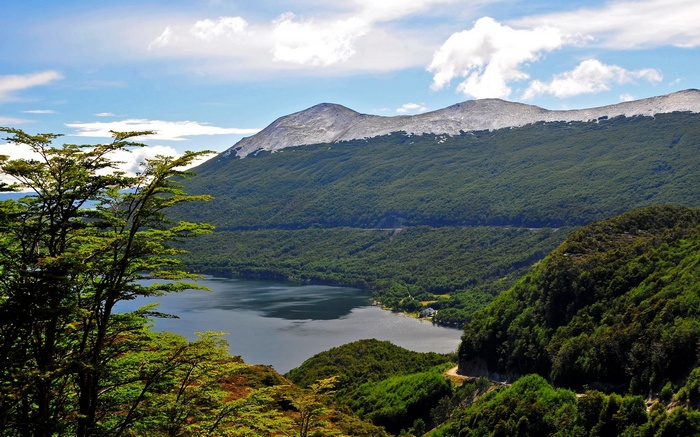 Mountain lake surrounded by green forest and trees