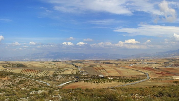 Agricultural landscape with rolling hills and distant mountains under a cloudy sky