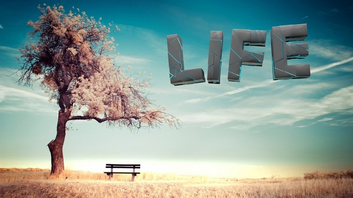3D LIFE text floating above a tree and bench