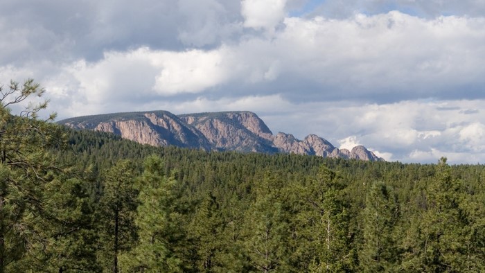 Forest in front of mountains under cloudy sky