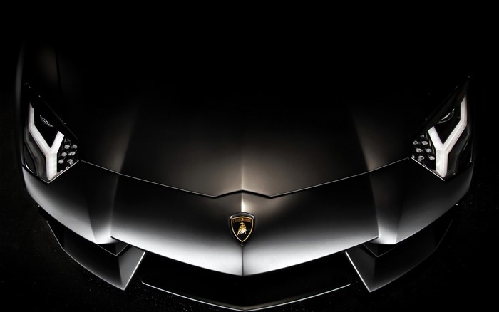 Lamborghini Aventador front view, black matte