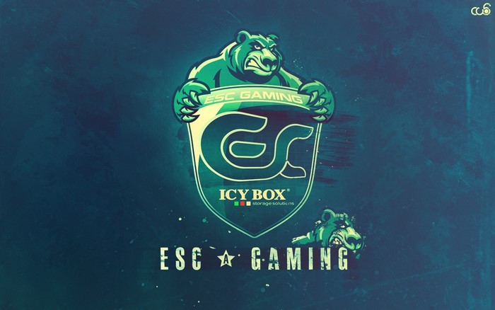 ESC Gaming Icy Box logo with bears