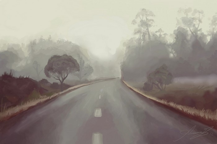 A foggy road through a forest