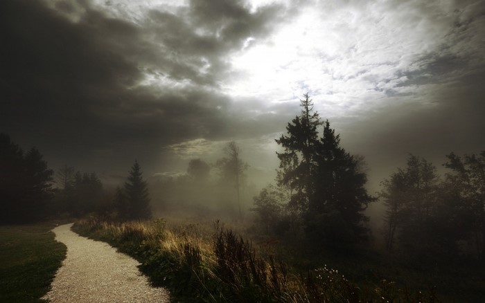 Misty forest path with sunbeams through clouds