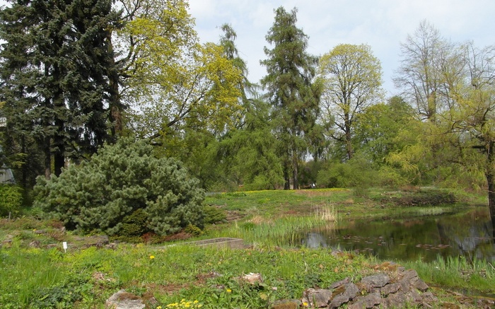 Botanical garden with pond and trees