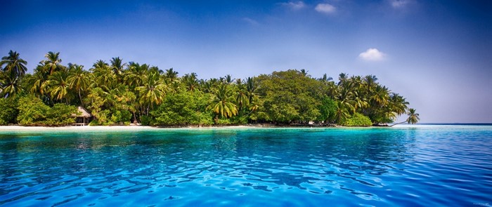 Tropical island with palm trees and turquoise water
