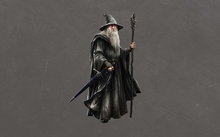 Gandalf the Grey from The Lord of the Rings