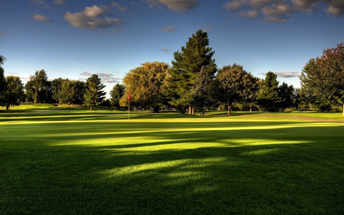 Golf course with trees and flag on a sunny day
