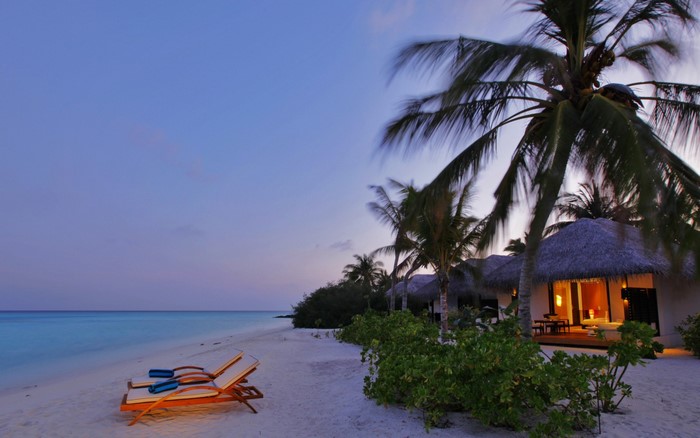 Tropical beach resort with palm trees and lounge chairs at dusk