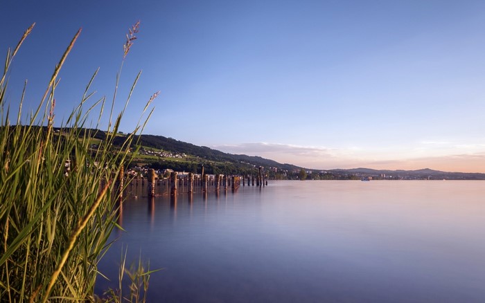 Long exposure lake landscape with reeds and distant town