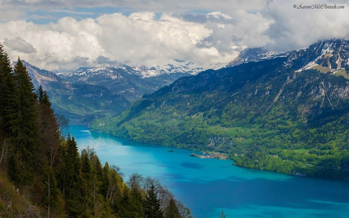 Serene Alpine Lake with Lush Forest and Mountains