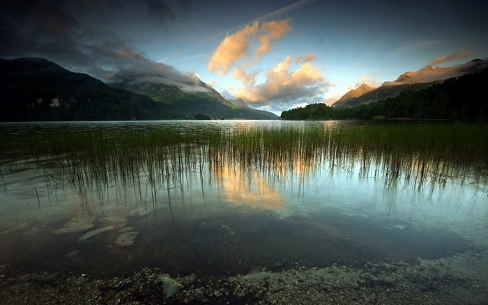 Lake with reeds and mountains at sunset