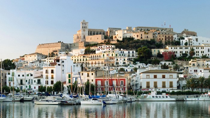 Boats in a harbor with a historic town on a hill
