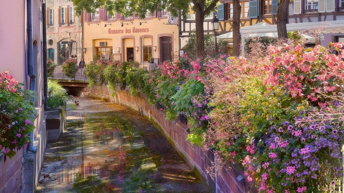Canal with flowers and buildings