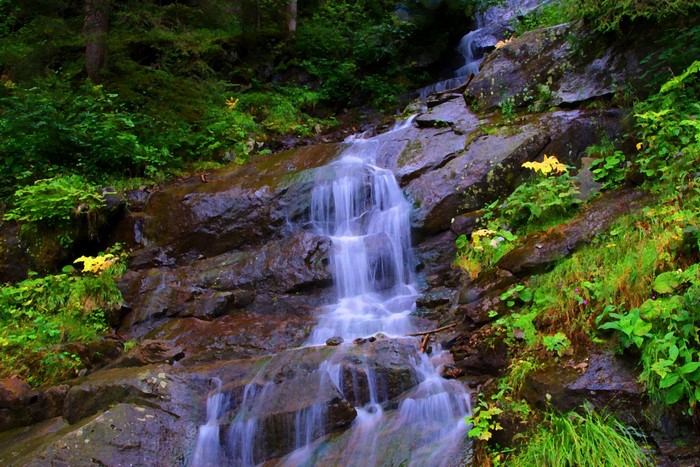 Waterfall cascading down mossy rocks in a forest