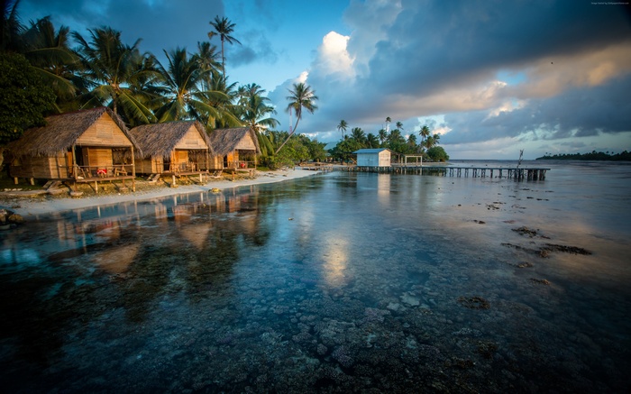 Thatched bungalows on a tropical island beach with clear water