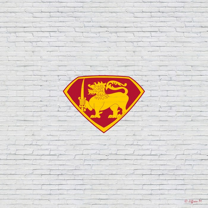 Sri Lanka Lion logo on brick wall