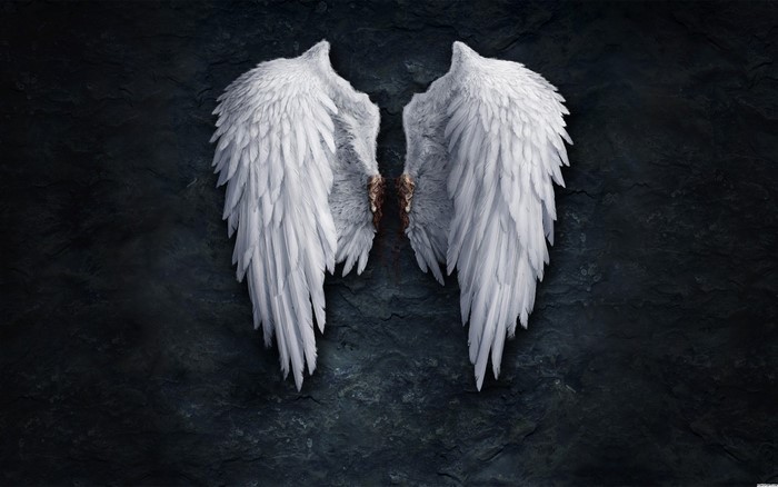 White angel wings on a dark background