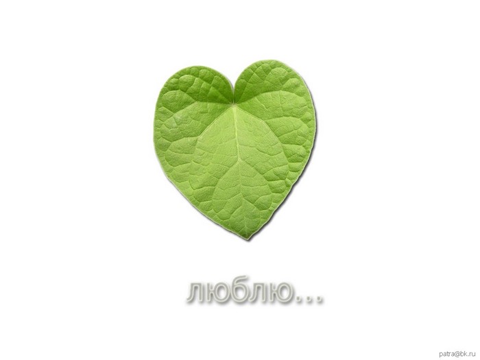 Heart-shaped green leaf with Russian text