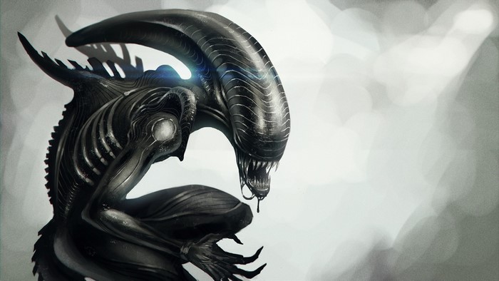 Xenomorph from Prometheus movie