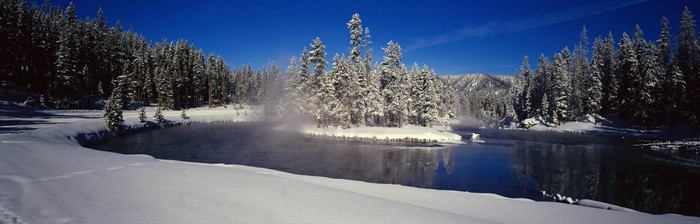 Snowy forest landscape with a river in winter