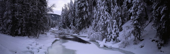Snowy forest with a partially frozen river