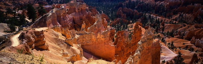 Bryce Canyon National Park Landscape