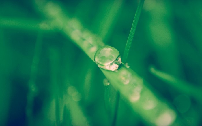 Macro photography of a water drop on grass