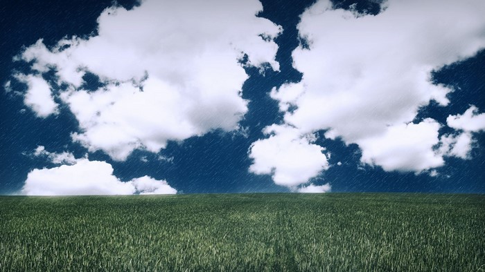 Green field under a cloudy sky with rain