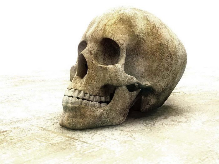 A weathered stone skull sculpture on a textured surface